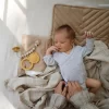 ⁦נשכן - אריה - דפי⁩ – תמונה ⁦4⁩